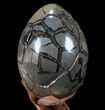 Septarian Dragon Egg Geode - Removable Section #89782-1